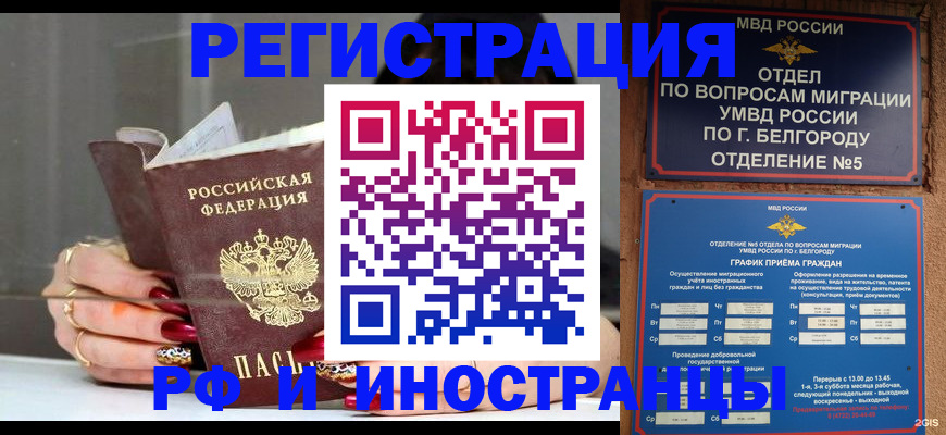 прописка в Кингисеппе